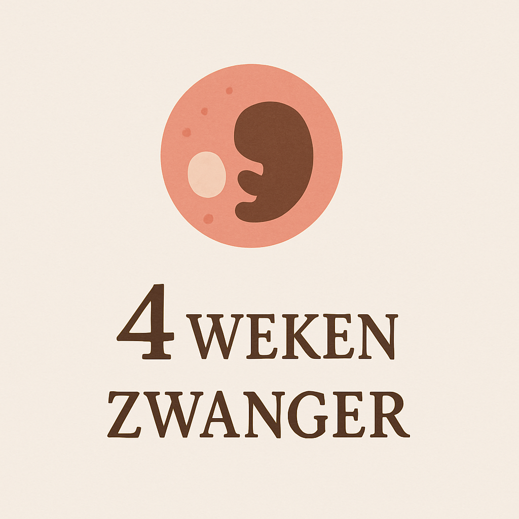 4 Week Zwanger 