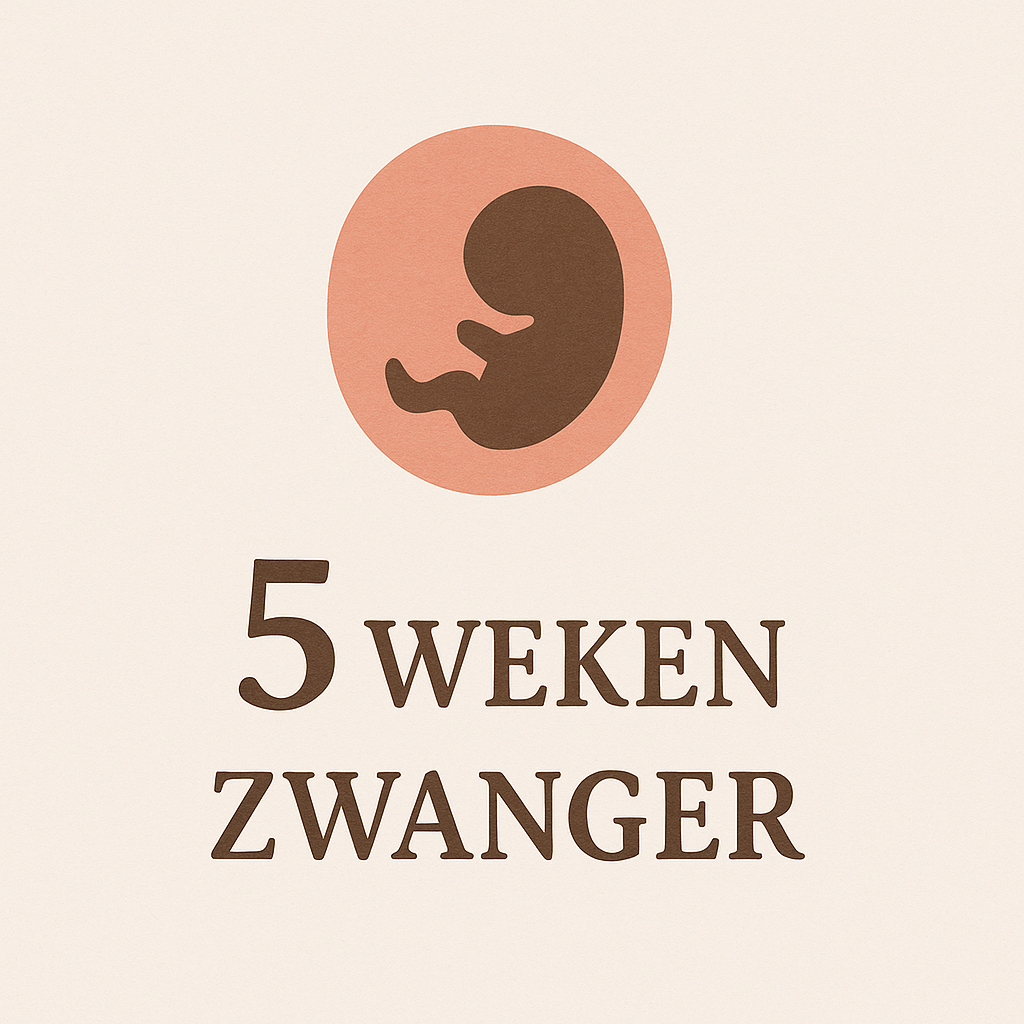 5 Week Zwanger 