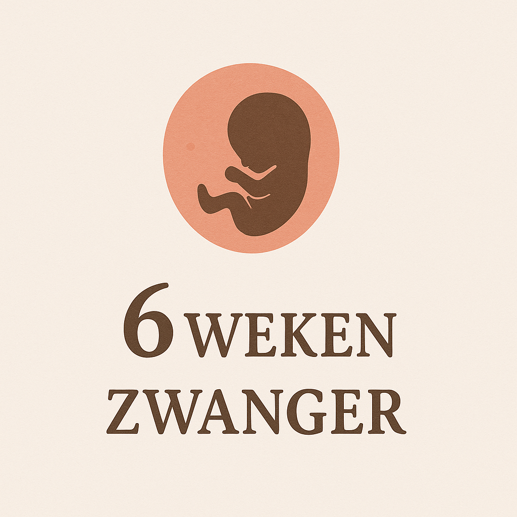 6 Week Zwanger 