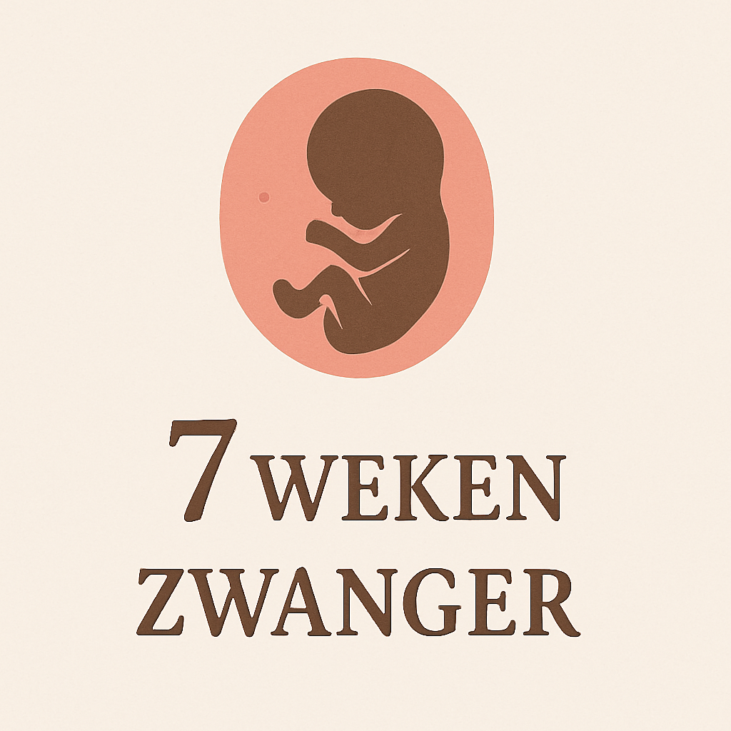 7 Week Zwanger 