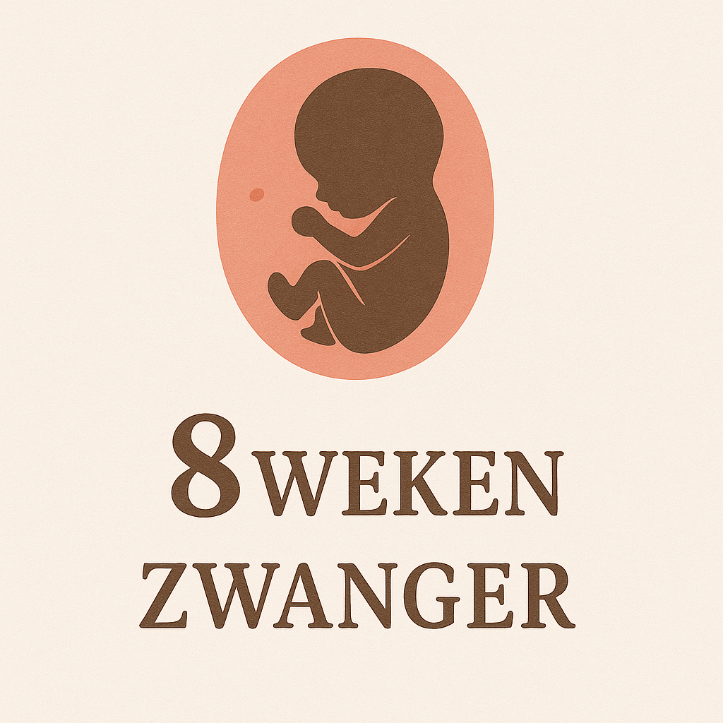8 Week Zwanger 
