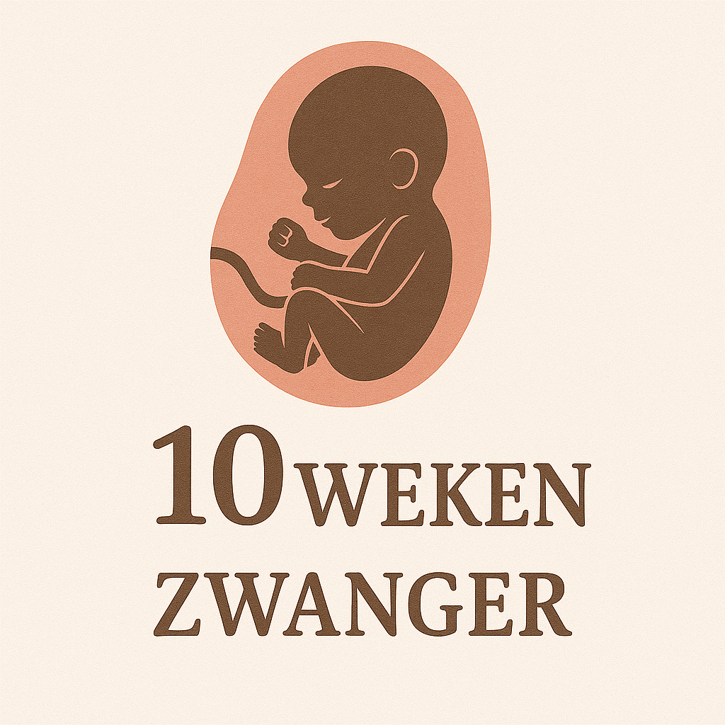 10 Week Zwanger 