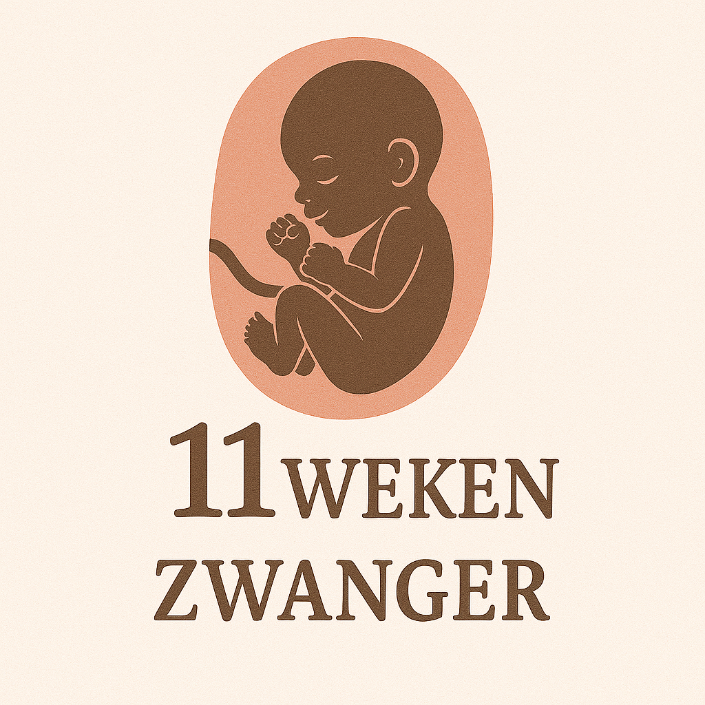 11 Week Zwanger 