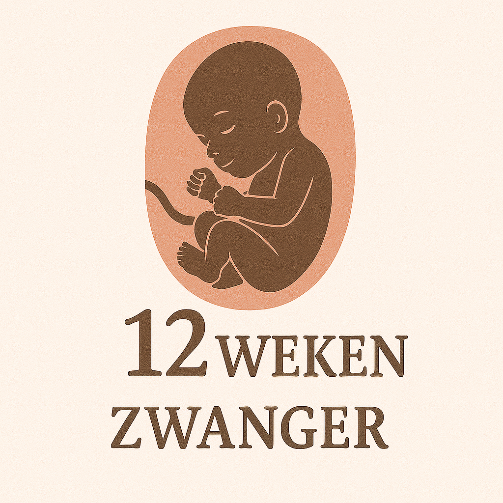 12 Week Zwanger 