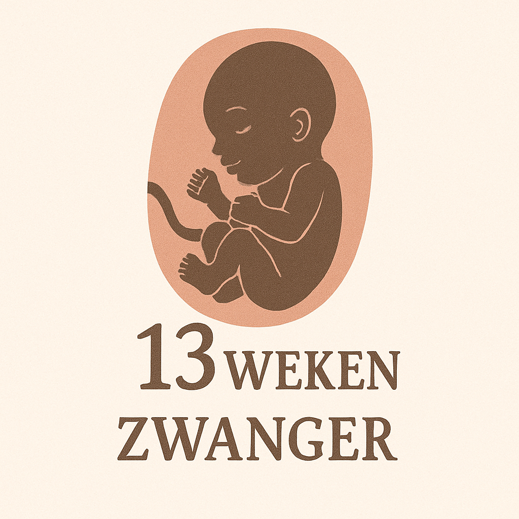 13 Week Zwanger 
