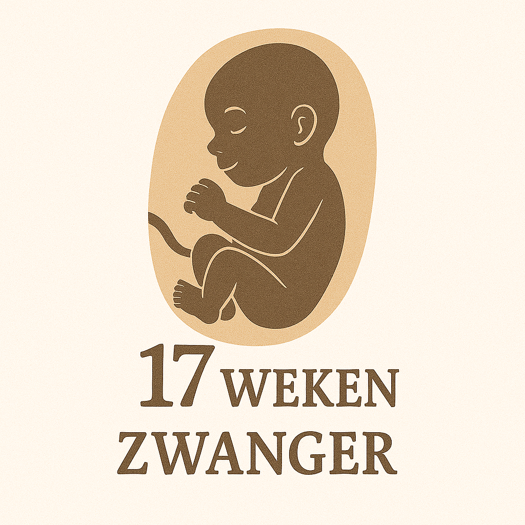 17 Week Zwanger 