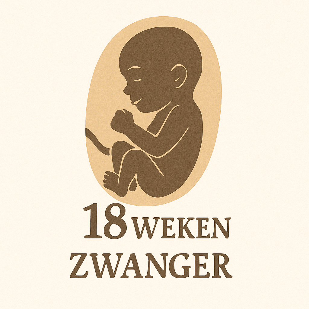 18 Week Zwanger 
