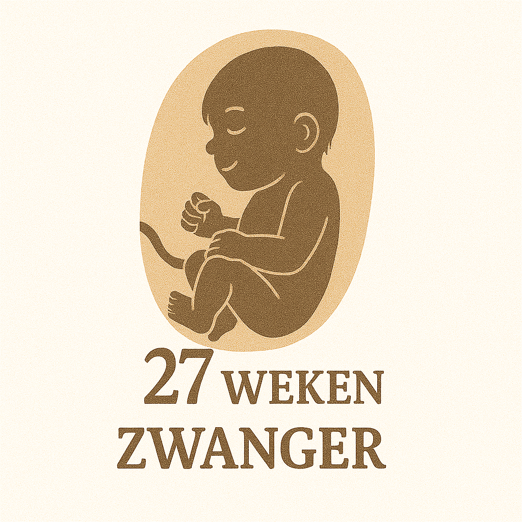 27 Week Zwanger 